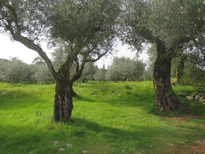 1. Erscheinung der Muttergottes, 13. Mai 1917